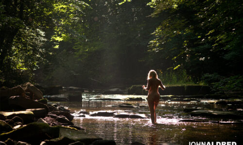 Backlit by the early morning sun in the river