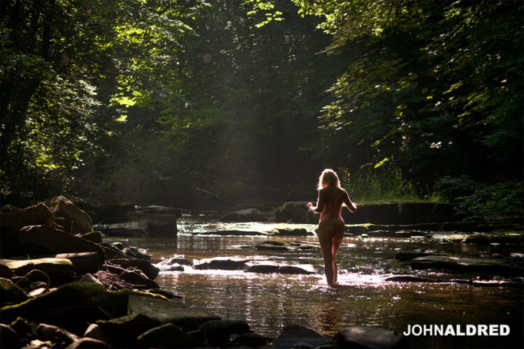 Backlit by the early morning sun in the river