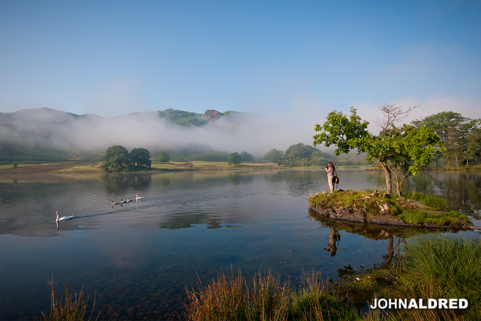 Swans in the Lake District