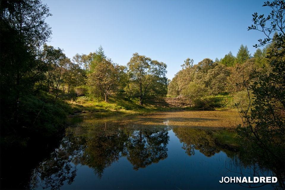 One of my favourite watering holes to shoot at