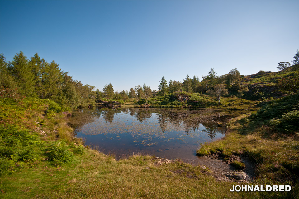 One of my favourite watering holes to shoot at